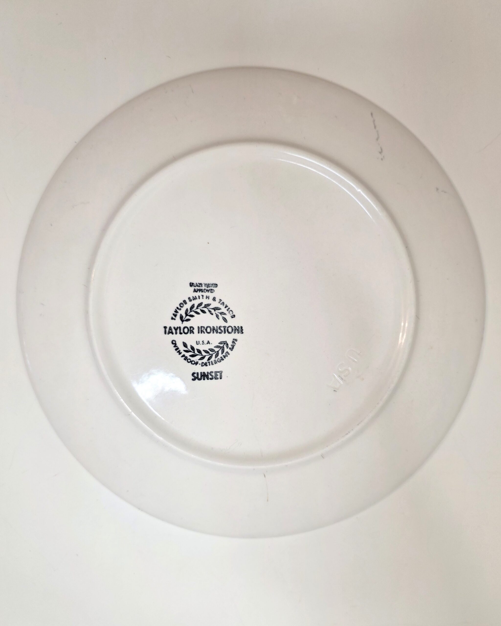 Taylor Ironstone Sunset 10" Dinner Plate - Image 5