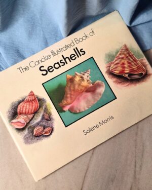 The Concise Illustrated Book of Seashells (1990)
