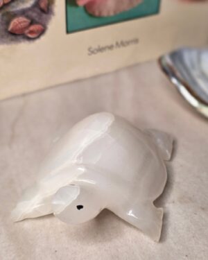 Onyx Stone Turtle Paperweight Figurine