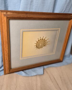 Figi Giftware Seashell Framed Artwork