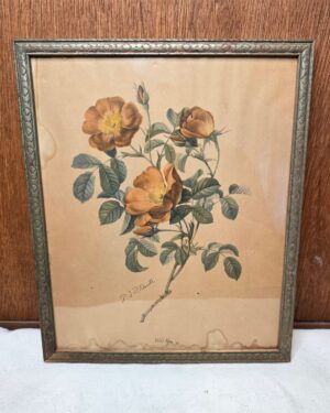 P. J. Redouté "Wild Rose" Botanical Framed Art Print