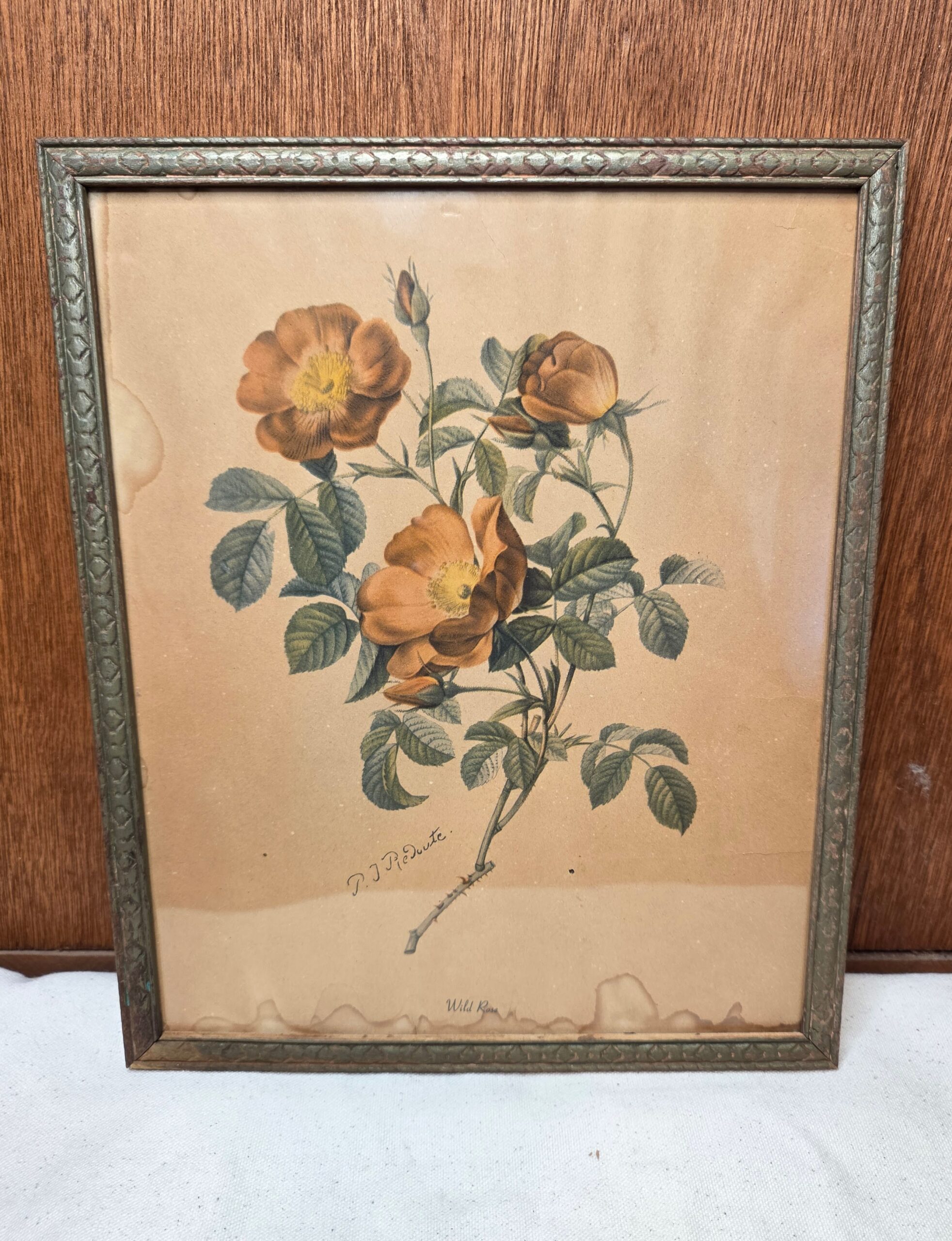 P. J. Redouté "Wild Rose" Botanical Framed Art Print