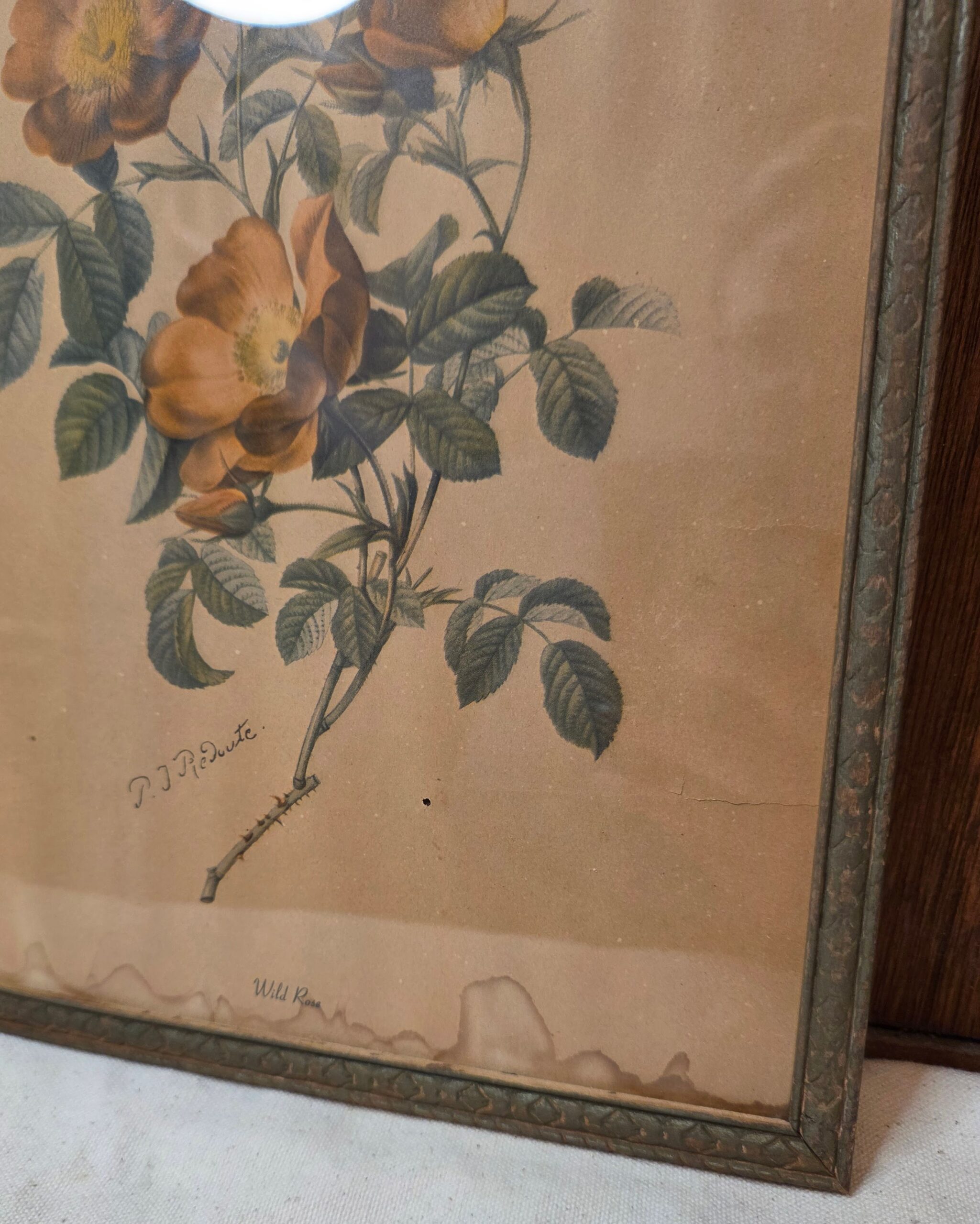 P. J. Redouté "Wild Rose" Botanical Framed Art Print - Image 3