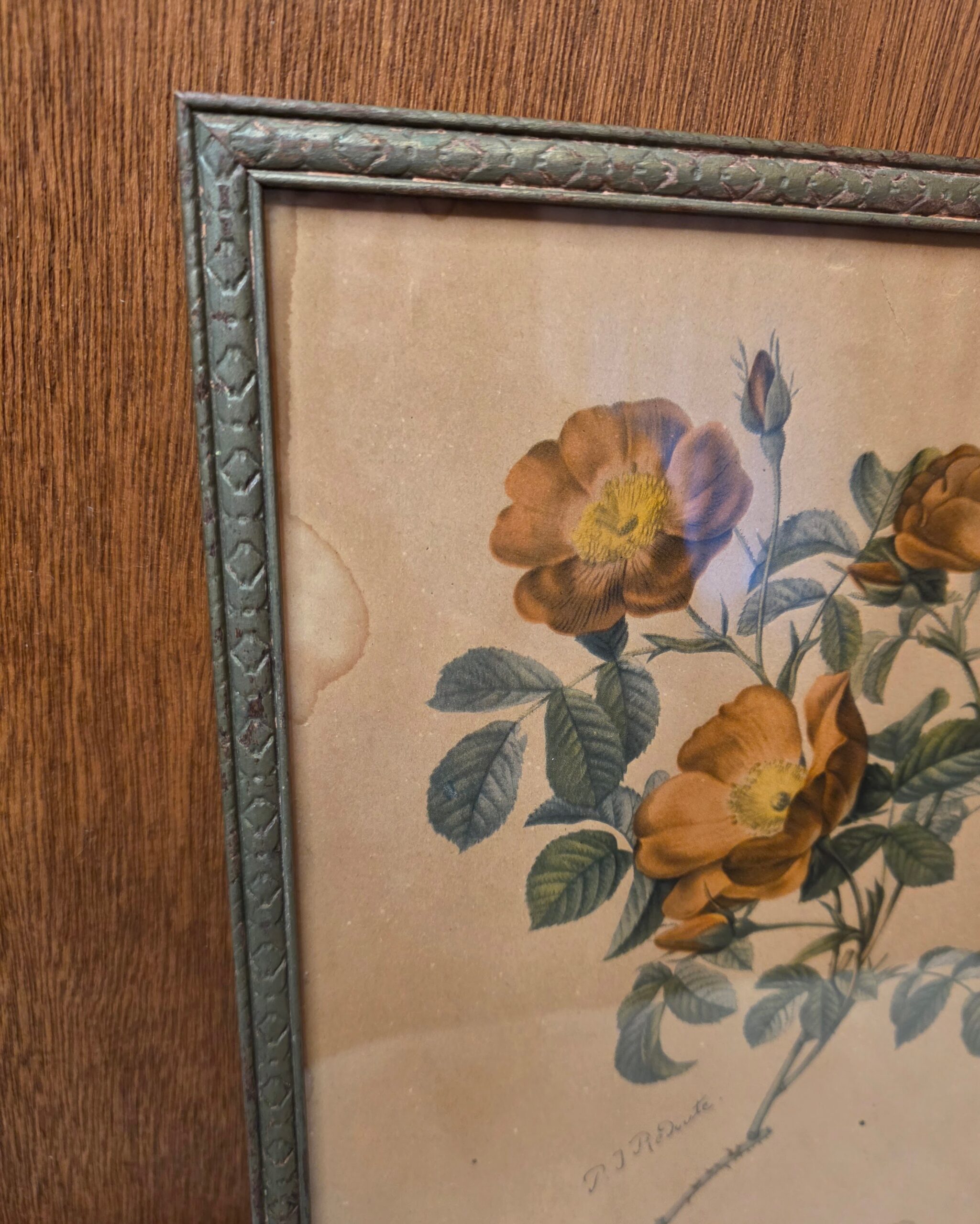 P. J. Redouté "Wild Rose" Botanical Framed Art Print - Image 2