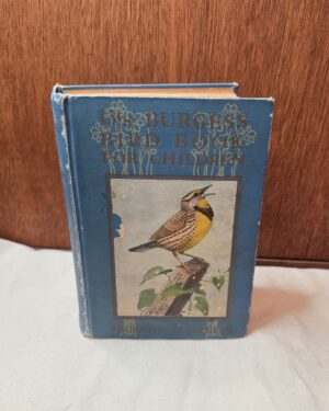 The Burgess Bird Book for Children (1921)